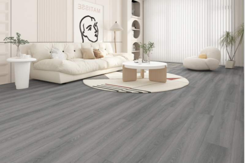 微信图片_202408230952341