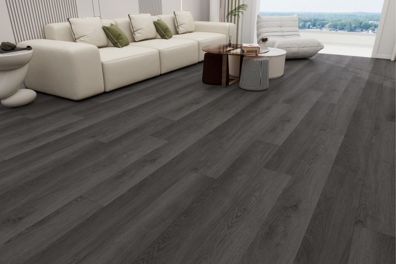 微信图片_20240823095246