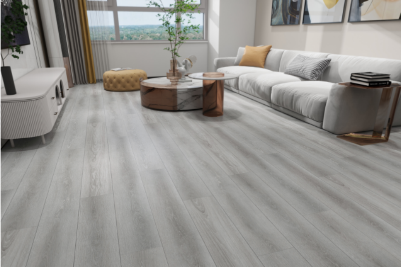 微信图片_20240823095234